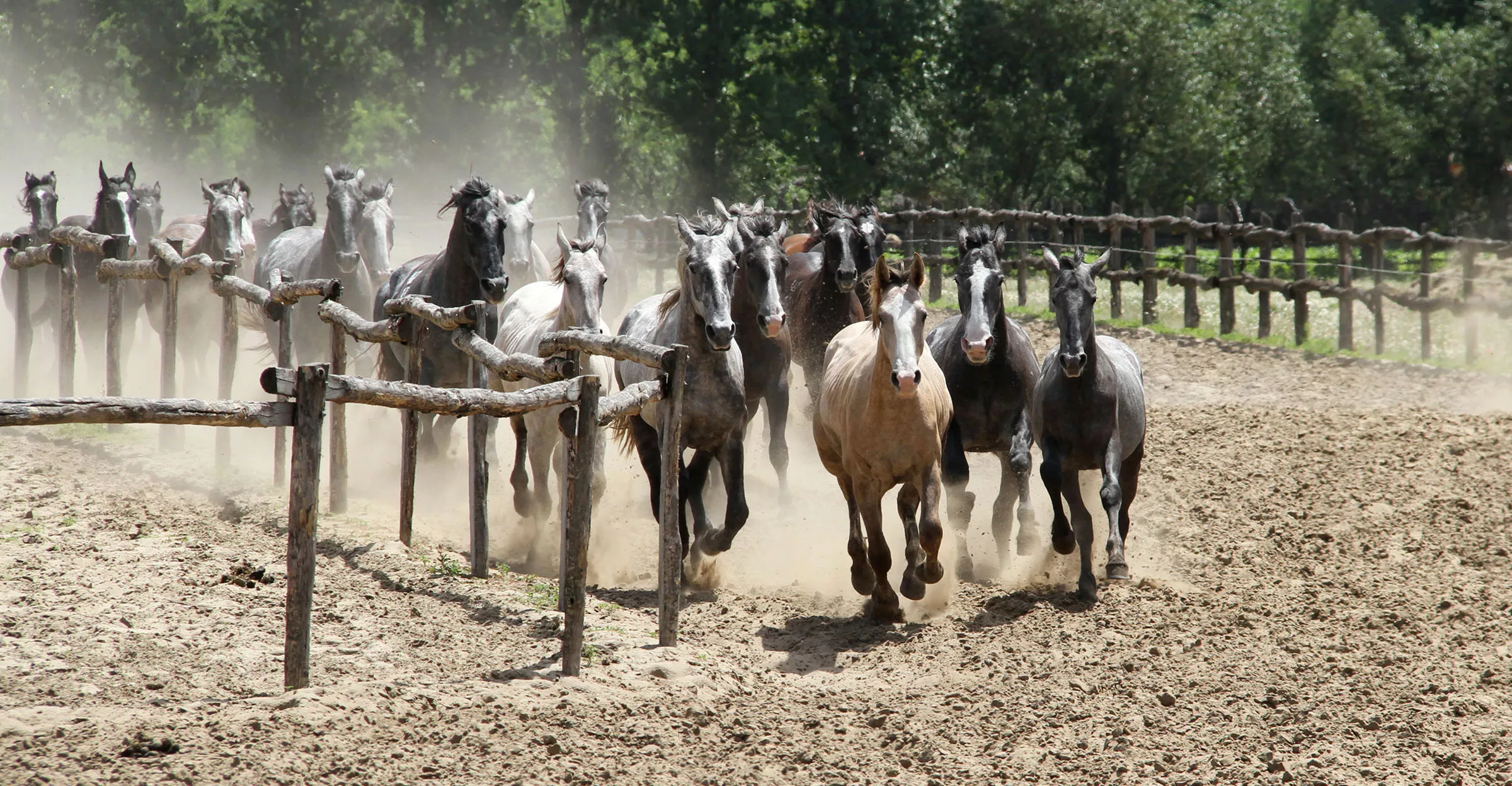 adobestock-25411196-kopie